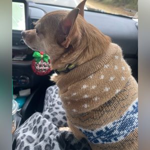 NWT. Pet Turtleneck Sweater, Classic Knitwear for Small Dogs &Cats. Size Medium.